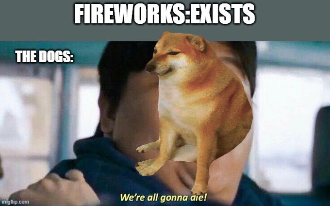 The Fireworks & The Dogs   (I'm back) | FIREWORKS:EXISTS; THE DOGS: | image tagged in dogs,fireworks,memes,im back | made w/ Imgflip meme maker