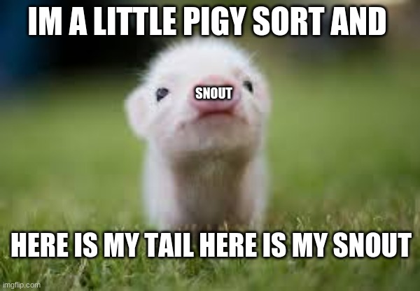 Ima wittle piggy | IM A LITTLE PIGY SORT AND; SNOUT; HERE IS MY TAIL HERE IS MY SNOUT | image tagged in cute pigy oink,cute,cute animals | made w/ Imgflip meme maker