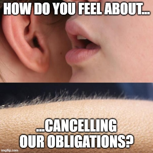 Whisper and Goosebumps | HOW DO YOU FEEL ABOUT... ...CANCELLING OUR OBLIGATIONS? | image tagged in whisper and goosebumps,stay home | made w/ Imgflip meme maker