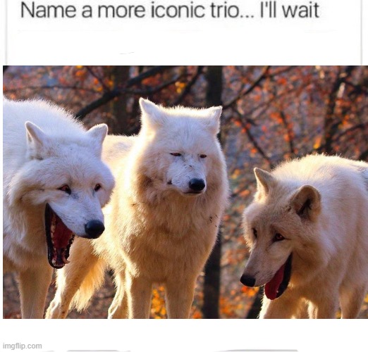 Comment only with a more iconic trio...... I'll wait...... | image tagged in image tags | made w/ Imgflip meme maker