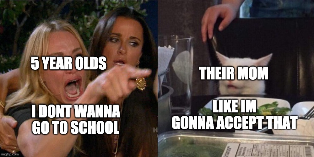 i hate school | 5 YEAR OLDS; THEIR MOM; LIKE IM GONNA ACCEPT THAT; I DONT WANNA GO TO SCHOOL | image tagged in woman yelling at cat | made w/ Imgflip meme maker