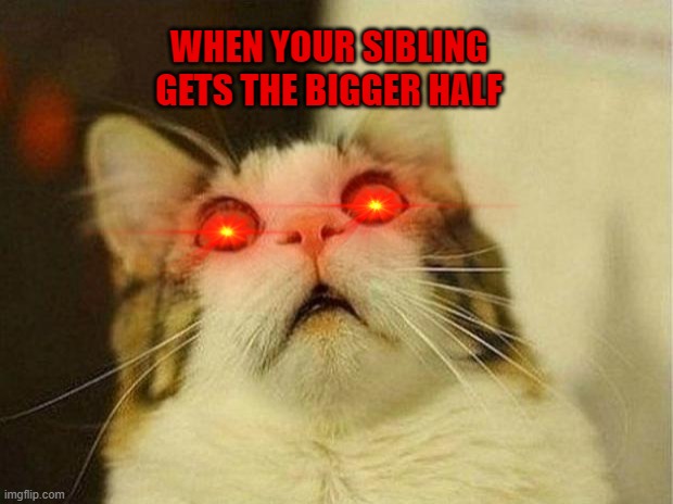Scared Cat Meme | WHEN YOUR SIBLING GETS THE BIGGER HALF | image tagged in memes,scared cat,siblings | made w/ Imgflip meme maker