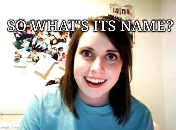 Overly Attached Girlfriend Meme | SO WHAT'S ITS NAME? | image tagged in memes,overly attached girlfriend | made w/ Imgflip meme maker