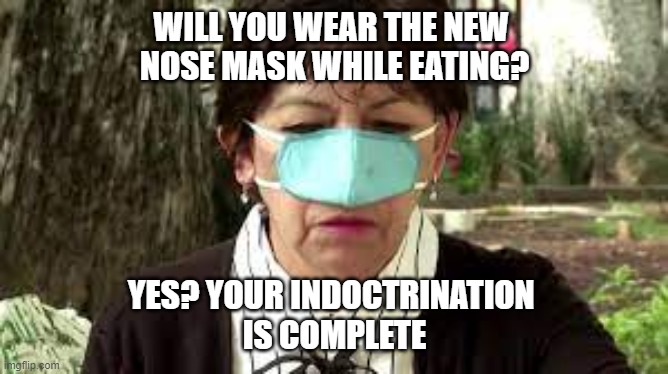 Nose masks, for when you eat. | WILL YOU WEAR THE NEW 
NOSE MASK WHILE EATING? YES? YOUR INDOCTRINATION 
IS COMPLETE | image tagged in nose masks,politics,indoctrination | made w/ Imgflip meme maker