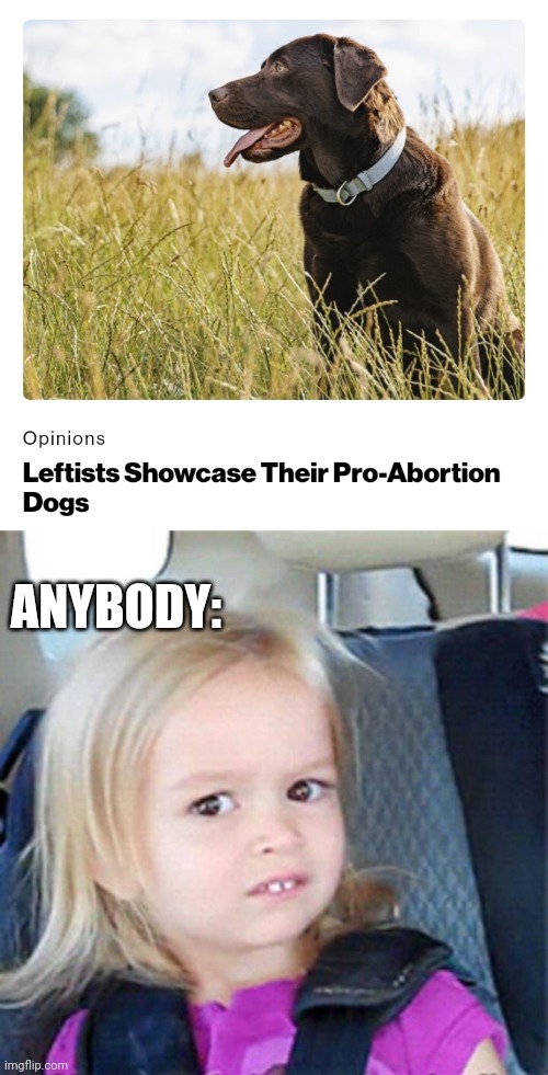 Politics and stuff | ANYBODY: | image tagged in confused little girl | made w/ Imgflip meme maker