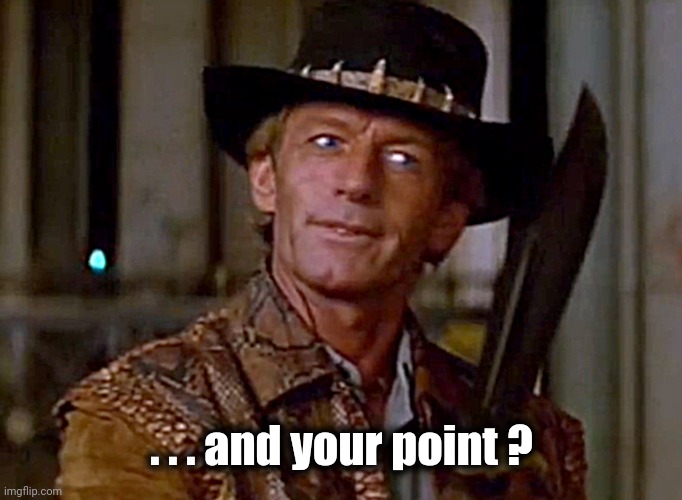 Crocodile Dundee Knife | . . . and your point ? | image tagged in crocodile dundee knife | made w/ Imgflip meme maker