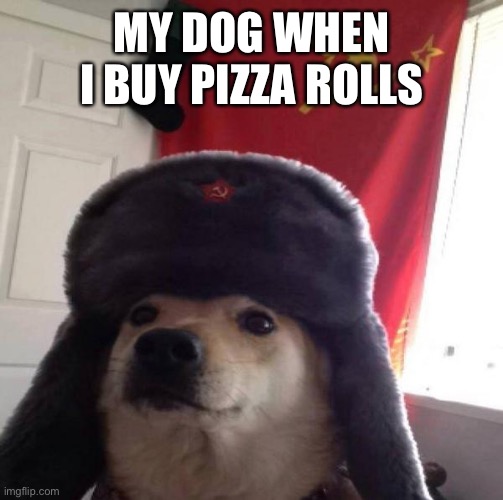 Pizza rolls | MY DOG WHEN I BUY PIZZA ROLLS | image tagged in russian doge | made w/ Imgflip meme maker