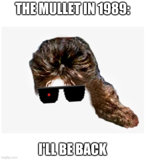 Mullet | THE MULLET IN 1989:; I'LL BE BACK | image tagged in mullet,terminator,hair | made w/ Imgflip meme maker
