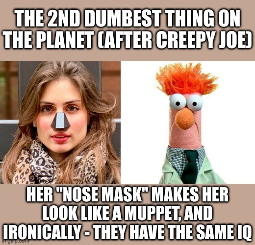 Approaching maximum ridiculousness!  Nose Masks! | THE 2ND DUMBEST THING ON THE PLANET (AFTER CREEPY JOE); HER "NOSE MASK" MAKES HER LOOK LIKE A MUPPET, AND IRONICALLY - THEY HAVE THE SAME IQ | image tagged in coronavirus meme,idiots,pointless | made w/ Imgflip meme maker
