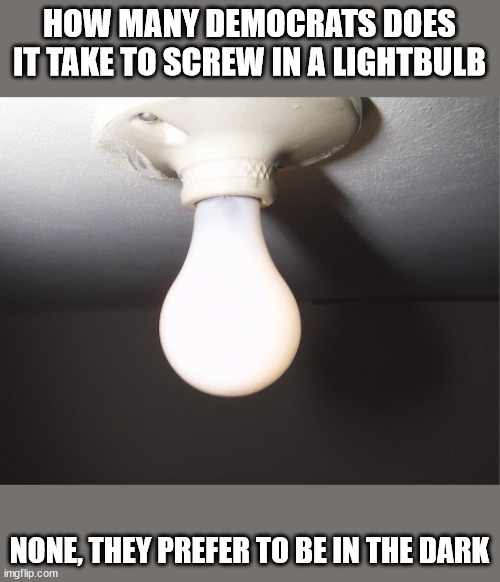 Democrats | HOW MANY DEMOCRATS DOES IT TAKE TO SCREW IN A LIGHTBULB; NONE, THEY PREFER TO BE IN THE DARK | image tagged in democrats,lightbulb | made w/ Imgflip meme maker