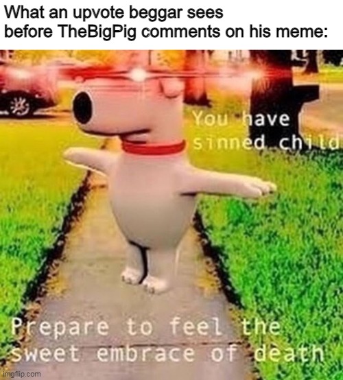 Prepare to die | What an upvote beggar sees before TheBigPig comments on his meme: | image tagged in memes,upvote begging,don't read after this tag,we're no strangers to love | made w/ Imgflip meme maker