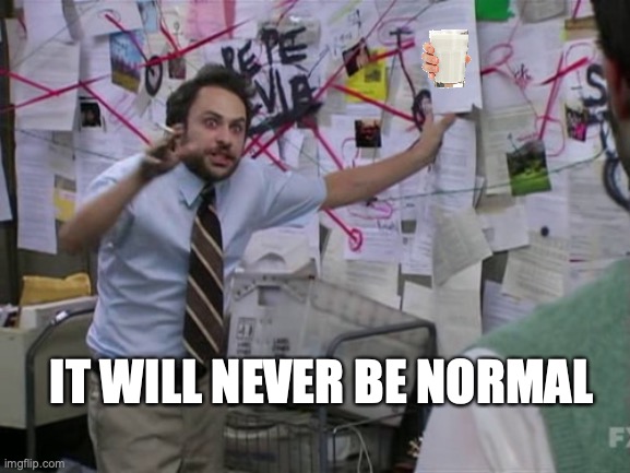 Charlie Day | IT WILL NEVER BE NORMAL | image tagged in charlie day | made w/ Imgflip meme maker
