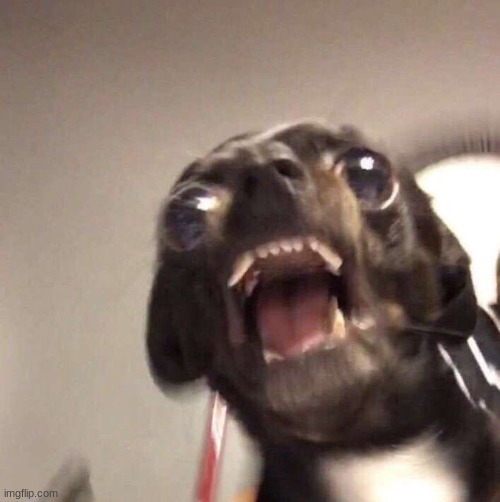 this is what dying feels like | made w/ Imgflip meme maker