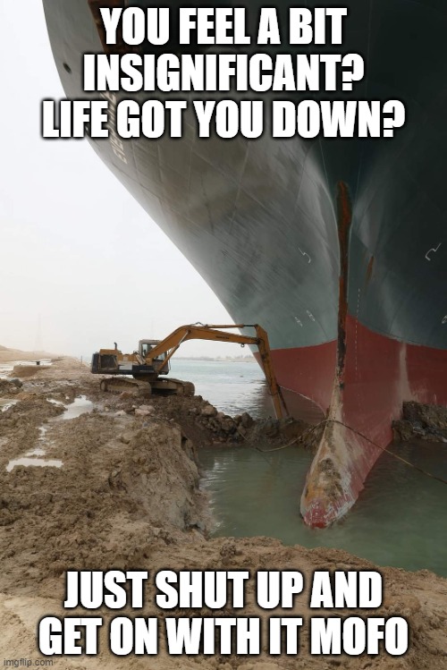 Suez canal stucked | YOU FEEL A BIT INSIGNIFICANT? LIFE GOT YOU DOWN? JUST SHUT UP AND GET ON WITH IT MOFO | image tagged in suez canal stucked | made w/ Imgflip meme maker