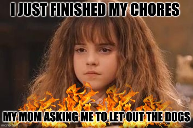 Chores be like | I JUST FINISHED MY CHORES; MY MOM ASKING ME TO LET OUT THE DOGS | image tagged in harry potter - miss granger is not amused | made w/ Imgflip meme maker