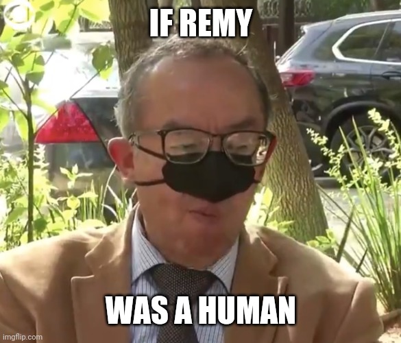 IF REMY WAS A HUMAN | made w/ Imgflip meme maker
