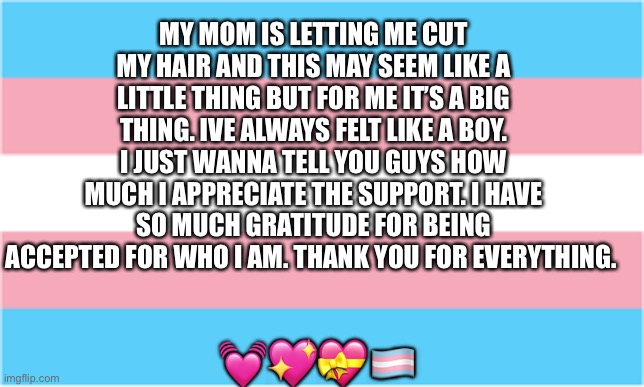 Thank you everyone | MY MOM IS LETTING ME CUT MY HAIR AND THIS MAY SEEM LIKE A LITTLE THING BUT FOR ME IT’S A BIG THING. IVE ALWAYS FELT LIKE A BOY. I JUST WANNA TELL YOU GUYS HOW MUCH I APPRECIATE THE SUPPORT. I HAVE SO MUCH GRATITUDE FOR BEING ACCEPTED FOR WHO I AM. THANK YOU FOR EVERYTHING. 💓💖💝🏳️‍⚧️ | image tagged in transgender,lgbtq | made w/ Imgflip meme maker