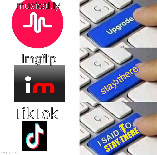 STAY THERE | musical.ly; Imgflip; stay there; TikTok; T; STAY THERE | image tagged in memes,funny,tiktok sucks,i love imgflip,i allow repost | made w/ Imgflip meme maker