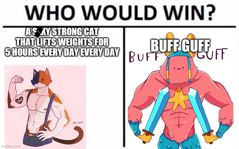 I wonder who would win the fight | A SEXY STRONG CAT THAT LIFTS WEIGHTS FOR 5 HOURS EVERY DAY EVERY DAY; BUFF GUFF | image tagged in memes,who would win | made w/ Imgflip meme maker