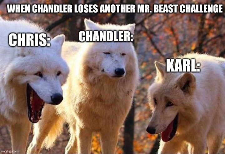 Laughing wolf | WHEN CHANDLER LOSES ANOTHER MR. BEAST CHALLENGE; CHANDLER:; CHRIS:; KARL: | image tagged in laughing wolf | made w/ Imgflip meme maker