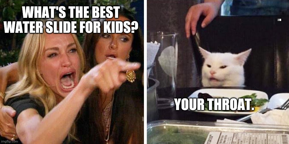 Smudge the cat | WHAT'S THE BEST WATER SLIDE FOR KIDS? J M; YOUR THROAT. | image tagged in smudge the cat | made w/ Imgflip meme maker