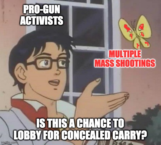 It's always too soon | PRO-GUN
ACTIVISTS; MULTIPLE MASS SHOOTINGS; IS THIS A CHANCE TO LOBBY FOR CONCEALED CARRY? | image tagged in memes,is this a pigeon,guns,death | made w/ Imgflip meme maker
