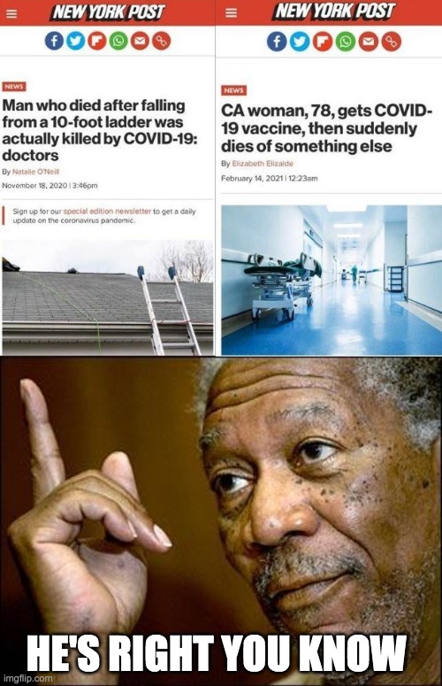 HE'S RIGHT YOU KNOW | image tagged in this morgan freeman | made w/ Imgflip meme maker