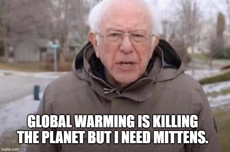 I am once again asking | GLOBAL WARMING IS KILLING THE PLANET BUT I NEED MITTENS. | image tagged in i am once again asking | made w/ Imgflip meme maker