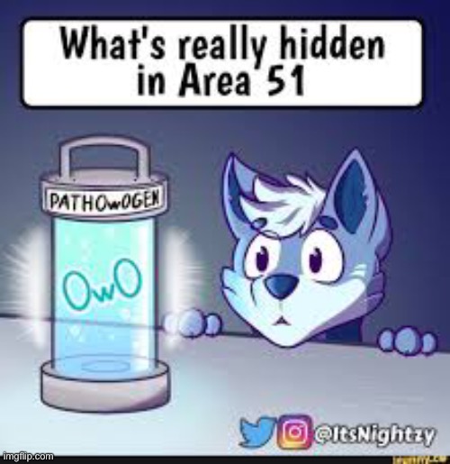 Not my original meme | image tagged in furry,owo | made w/ Imgflip meme maker