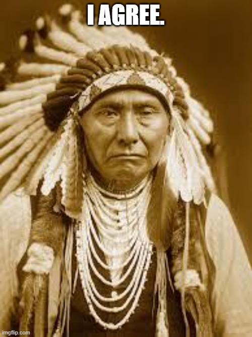 Native American | I AGREE. | image tagged in native american | made w/ Imgflip meme maker