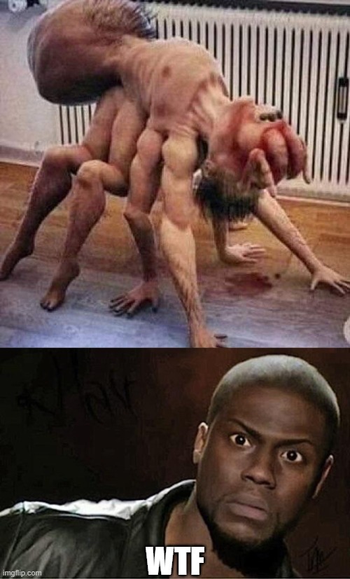 spider man spider man does whatever a spider can | WTF | image tagged in spider man,shoots a web,spider ham | made w/ Imgflip meme maker