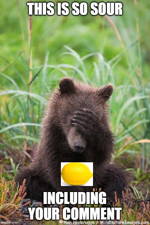 facepalm bear | THIS IS SO SOUR INCLUDING YOUR COMMENT | image tagged in facepalm bear | made w/ Imgflip meme maker