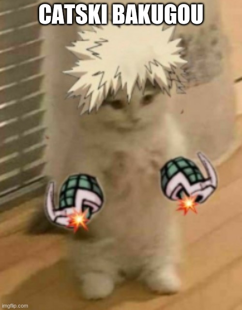 aka cat-chan | CATSKI BAKUGOU | image tagged in cat,funny,anime,meme | made w/ Imgflip meme maker