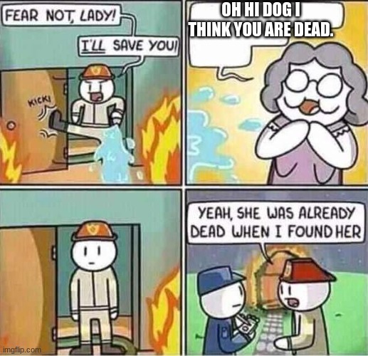 Yeah, she was already dead when I found here. | OH HI DOG I THINK YOU ARE DEAD. | image tagged in yeah she was already dead when i found here | made w/ Imgflip meme maker