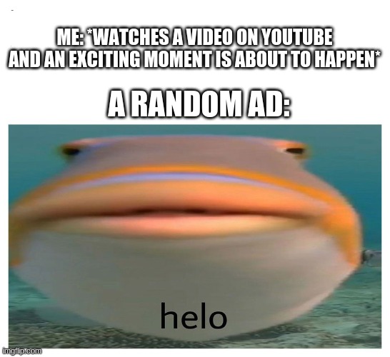 helo fish | ME: *WATCHES A VIDEO ON YOUTUBE AND AN EXCITING MOMENT IS ABOUT TO HAPPEN*; A RANDOM AD: | image tagged in helo fish | made w/ Imgflip meme maker