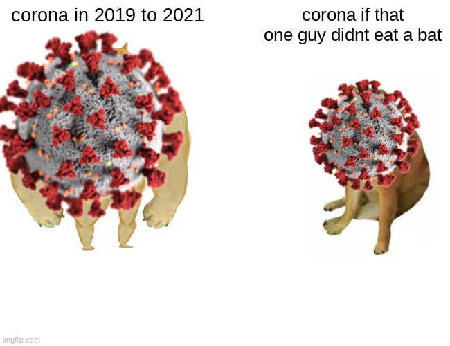 Buff Doge vs. Cheems | corona in 2019 to 2021; corona if that one guy didnt eat a bat | image tagged in memes,buff doge vs cheems | made w/ Imgflip meme maker