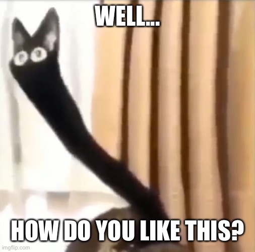 WELL... HOW DO YOU LIKE THIS? | image tagged in oh no black cat,well,remake,oh wow are you actually reading these tags,why tho | made w/ Imgflip meme maker