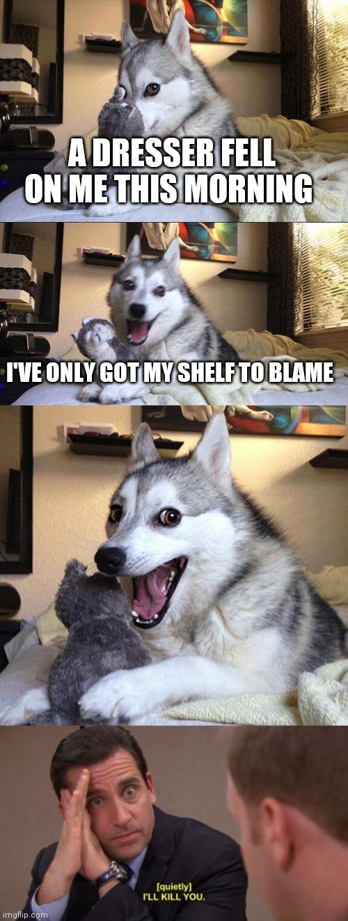  A DRESSER FELL ON ME THIS MORNING; I'VE ONLY GOT MY SHELF TO BLAME | image tagged in memes,bad pun dog,i'll kill you | made w/ Imgflip meme maker