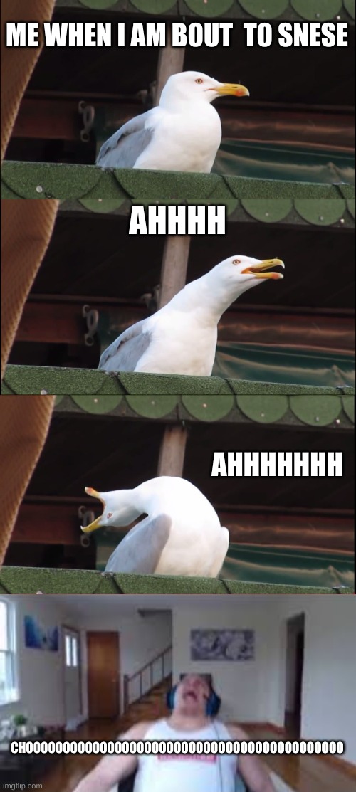 Inhaling Seagull Meme | ME WHEN I AM BOUT  TO SNESE; AHHHH; AHHHHHHH; CHOOOOOOOOOOOOOOOOOOOOOOOOOOOOOOOOOOOOOOOOOOO | image tagged in memes,inhaling seagull | made w/ Imgflip meme maker