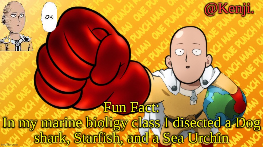 I was also able to keep the Dog Sharks Heart and half of the sea urchin home | Fun Fact:
In my marine bioligy class I disected a Dog shark, Starfish, and a Sea Urchin | image tagged in punch man | made w/ Imgflip meme maker