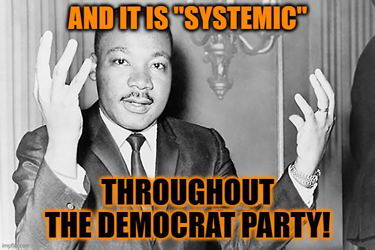 AND IT IS "SYSTEMIC" THROUGHOUT THE DEMOCRAT PARTY! | made w/ Imgflip meme maker