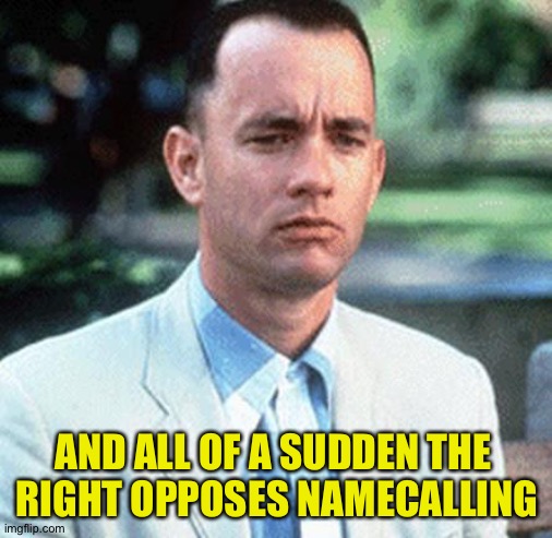 forrest gump | AND ALL OF A SUDDEN THE 
RIGHT OPPOSES NAMECALLING | image tagged in forrest gump | made w/ Imgflip meme maker