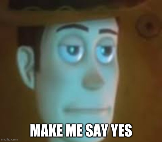 disappointed woody | MAKE ME SAY YES | image tagged in disappointed woody | made w/ Imgflip meme maker