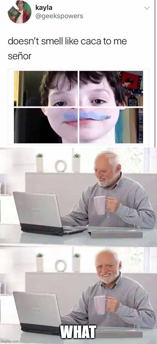 WHAT | image tagged in memes,hide the pain harold,what,caca | made w/ Imgflip meme maker