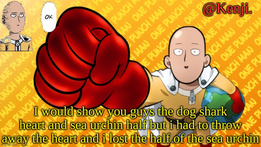 So yea cant show them | I would show you guys the dog shark heart and sea urchin half but i had to throw away the heart and i lost the half of the sea urchin | image tagged in punch man | made w/ Imgflip meme maker