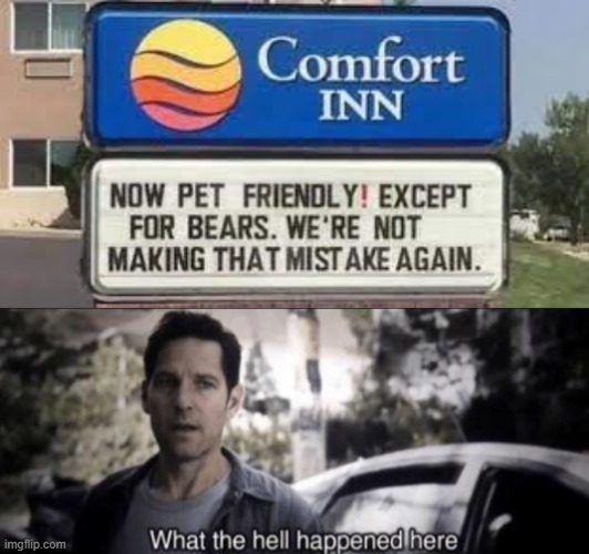 Like what the actual | image tagged in what the hell happened here | made w/ Imgflip meme maker