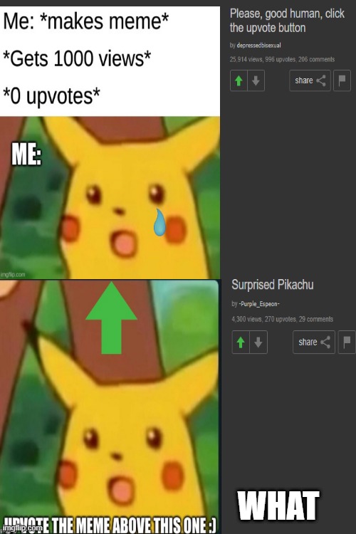 what. I guess i have to upvote the upvote beggar. | WHAT | image tagged in blank white template,outside,surprised pikachu,y tho,angery | made w/ Imgflip meme maker
