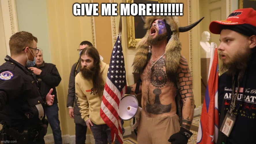 Give me more...! | GIVE ME MORE!!!!!!!! | image tagged in give me more | made w/ Imgflip meme maker