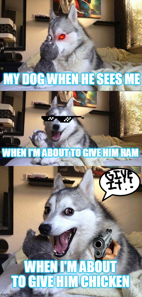 I'M BACK | MY DOG WHEN HE SEES ME; WHEN I'M ABOUT TO GIVE HIM HAM; WHEN I'M ABOUT TO GIVE HIM CHICKEN | image tagged in memes,bad pun dog | made w/ Imgflip meme maker