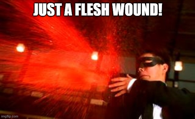 its ok, its nothing bad... | JUST A FLESH WOUND! | made w/ Imgflip meme maker